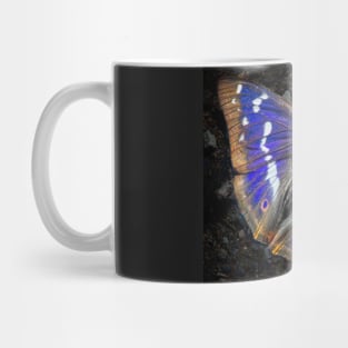 Purple Emperor Butterfly picture Mug